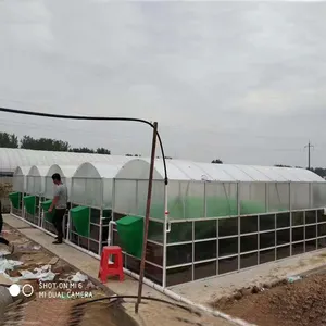 Trung Quốc Bán Nóng Nhỏ Biogas Digester Dễ Dàng Lắp Ráp Gia Đình Và Nông Nghiệp Biogas Methane Thực Vật