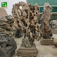 Décoration d'extérieur et de maison Paysage naturel Pierre de corail Pierre de Taihu