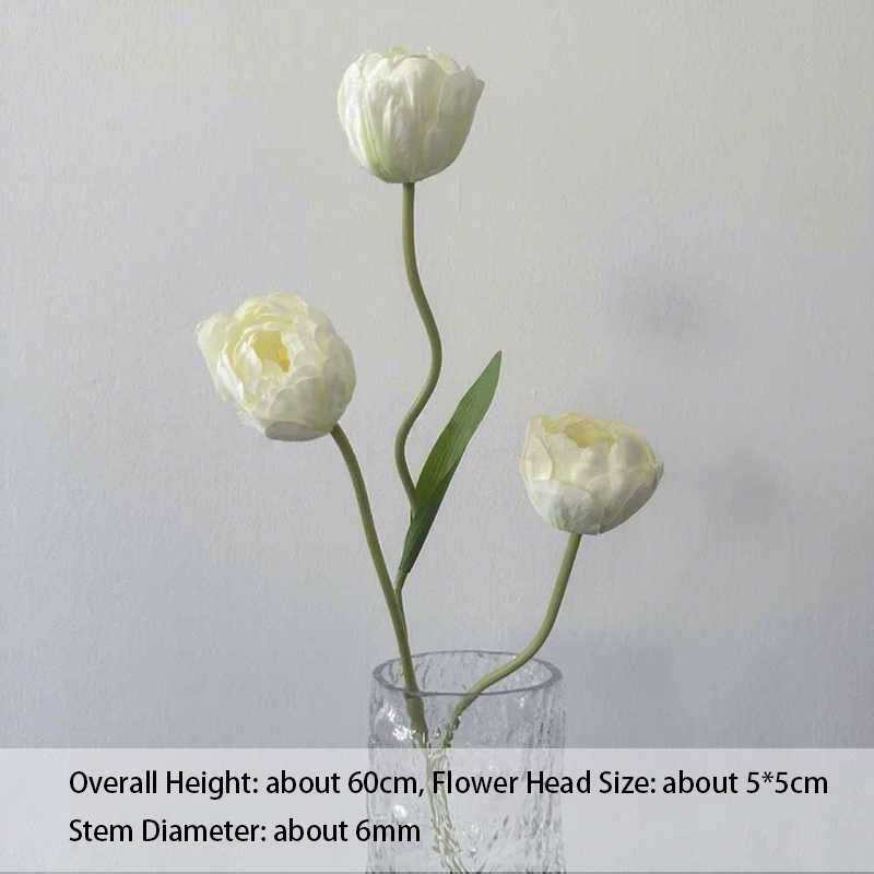 Tulipán holandés