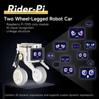 Robot Autoequilibrado con Ruedas Rider-Pi, IMU, Terreno Adaptativo, Visión Artificial, Raspberry Pi CM5, ESP32, Educación en IA, Python