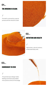 Cao Cấp Nở Tỷ Lệ 95% Cá Thức Ăn Artemia U Nang <span class=keywords><strong>Hatchery</strong></span> Nước Muối Tôm Trứng - Product Image 3