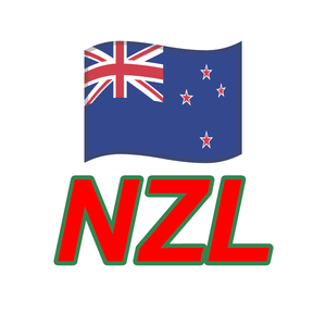 NZL货代运输海运国际货运代理中国至新西兰货运代理 - Product Image 1