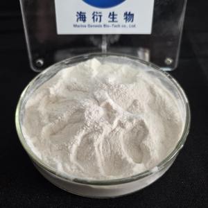 Экстракт дикой пории кокосовой, растительный порошок 10:1, вакуумная упаковка в бочках, лучшая цена, с возможностью индивидуального заказа, прямые поставки с завода - Product Image 3