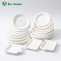 Boîtes en bagasse de canne à sucre pour restauration rapide, 500 g, transparentes, en forme de coquille