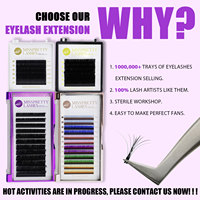 Extensions de cils volume faites à la main en gros 0.03-0.20mm, cils noirs mats pour salons, logo personnalisé disponible, plateau à cils