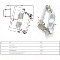 Disjoncteur fusible en polymère ou en porcelaine 15 kV pour ligne électrique