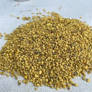 Gránulos de Polen de Abeja Natural Crudo, Pellets de Polen de Abeja Puro para la Salud - Product Image 1