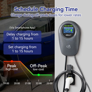 Type 1 48a Snelle Muur-Gemonteerde Ev Oplaadstapel 7kw Componenten Tesla Byd Ev Oplader 11.5kw Ip65 Wallbox Auto Laadstation - Product Image 5