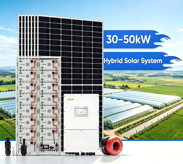 Solar Panel Hybrid Inverter Complete Solar System 50kw 40kw 30kw Battery 100kwh 220/380v for Home&Industrial Solar Energy System