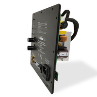 Module d'amplificateur de plaque numérique basse fréquence 250 Watts, conception solide et stable, amplificateur de plaque de subwoofer DSP personnalisé en usine, classe D