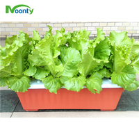 Pot de culture hydroponique intelligente, boîte de plantation pour jardin de l'ue