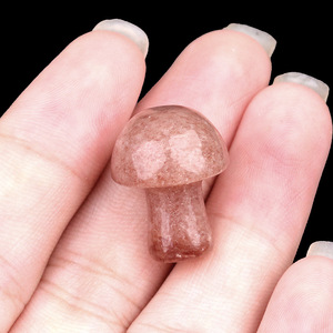Ametista agata di pietra Mini fungo fai da te Micro foresta paesaggistica giardino vaso di fiori di cristallo artigianato decorazione - Product Image 5