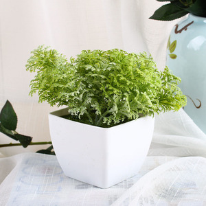 Di alta qualità artificiale arte topiaria bonsai bosso plastica <span class=keywords><strong>cipresso</strong></span> in vaso bonsai pianta con il <span class=keywords><strong>prezzo</strong></span> poco costoso - Product Image 2
