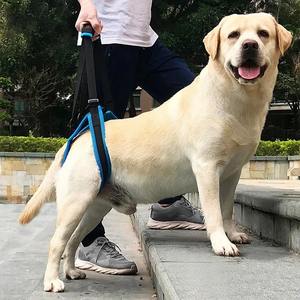 <span class=keywords><strong>Harness</strong></span> pengangkat anjing yang dapat diatur untuk kaki punggung tali penopang hewan peliharaan kaki lemah berdiri hewan peliharaan alat bantuan anjing untuk anjing tua - Product Image 4