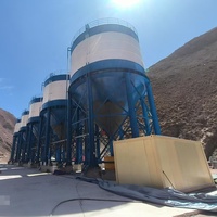 Silo à ciment en poudre en vrac de 80 tonnes, bac de stockage vertical en acier, type soudé et boulonné, transport facile pour centrale à béton