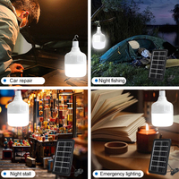 Ampoule LED solaire rechargeable portable haute performance 10W-100W avec base B22/E27