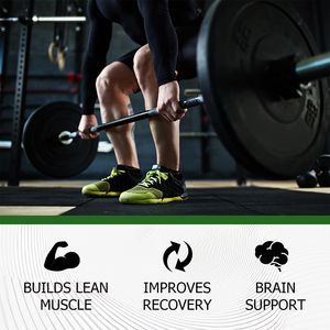 Hot Sale Creatine Monohydrate Powder with Creatine Monohydrate Supports Muscle Strength Endurance and Lean Muscle Growth Powder - Product Image 6