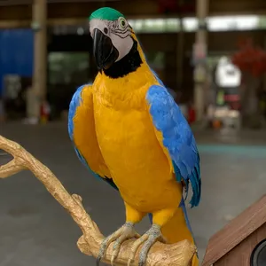 Parque temático animatronic simulación animales loros modelo para la venta