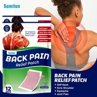 Parche Natural para el Bienestar Corporal, para Comodidad Muscular Diaria y Soporte Lumbar, Adhesivos con Extractos Botánicos, Suministro Directo de Fábrica OEM ODM