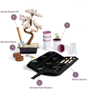 Bonsai Pot Unique 5 Bonsaï <span class=keywords><strong>Jardinage</strong></span> Cadeaux ensemble d'outils Ensemble d'espèces Bonsai Starter <span class=keywords><strong>Kit</strong></span> avec <span class=keywords><strong>Kit</strong></span> de <span class=keywords><strong>jardinage</strong></span> - Product Image 2