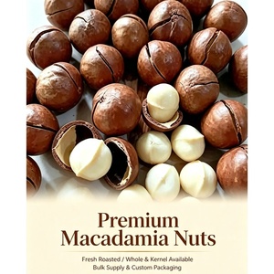<span class=keywords><strong>Nueces</strong></span> de Macadamia al por Mayor, <span class=keywords><strong>Nueces</strong></span> de Macadamia Tostadas de China, <span class=keywords><strong>Nueces</strong></span> de Macadamia de Primera Calidad Sin Cáscara, Snack a Granel para Hornear, 1 kg - Product Image 4