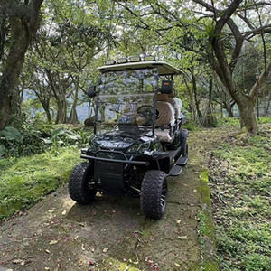 BFF Kepler Factory Outlet Nouveau Modèle Véhicule Électrique Tout-Terrain 4 <span class=keywords><strong>Places</strong></span>, Voiturette de Golf, Scooter Électrique, Buggy de Golf, Mini Camion - Product Image 2