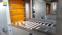 Système de collecte d'œufs entièrement automatique à haute efficacité, machine complète de ramassage d'œufs pour volailles, solution clé en main