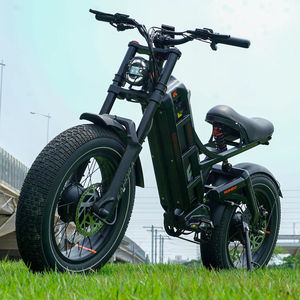 Bicicleta Eléctrica Híbrida Eahora Romeo II Personalizada de 250W 48/52V 60Ah con Llantas Gruesas de 26 Pulgadas y Batería de Litio de Largo Alcance para Adultos - Product Image 1