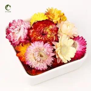 Wholesale High Quality Dried herbs Colorful Chrysanthemum Helichrysum Strawflower Tea Flowers