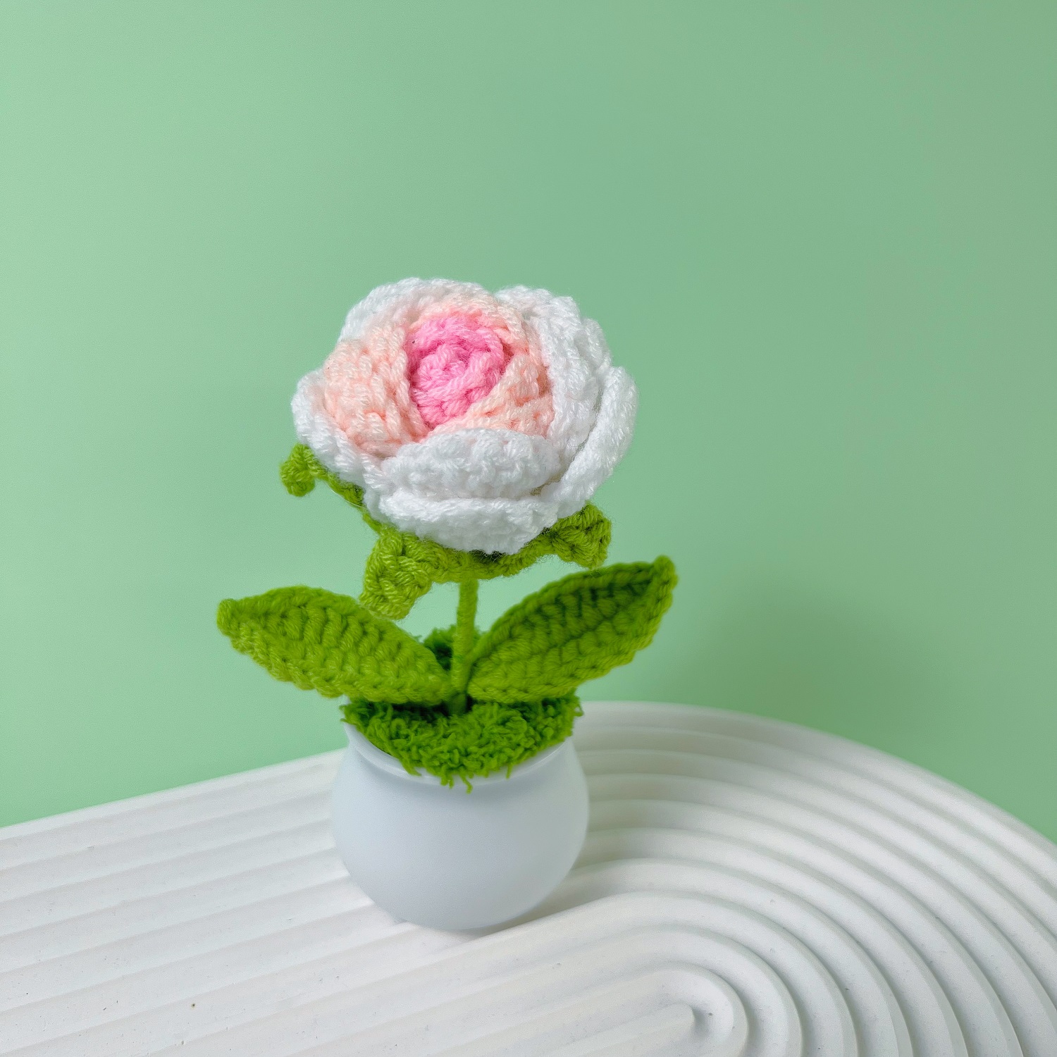 1 gradient pink rose