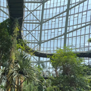 Vidrio SGP Resistente a Impactos para Atrios - Soluciones Duraderas para Techos <span class=keywords><strong>de</strong></span> Centros Comerciales y Techos Abovedados - Product Image 4