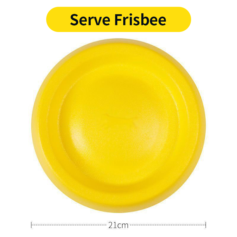 Disc-21cm