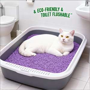 Bac à litière pour chat en tofu avec charbon actif, amidon de maïs, biodégradable, écologique, lavable, sans blocage, parfum lavande - Product Image 1