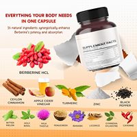 Tout en 1 Capsules de berbérine avec cannelle de Ceylan Vinaigre de pomme Curcuma Curcumine Chardon-Marie Supplément de poivre noir