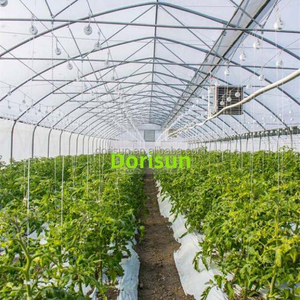 <span class=keywords><strong>Manta</strong></span> térmica de túnel de oruga con Control de clima de lujo, película de tela de sombra de aluminio, invernadero para jardín - Product Image 6