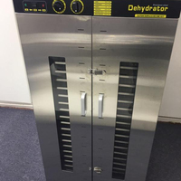 Fruit Drogen Machine/Uitdroging Machine/Industriële Voedsel Dehydrator