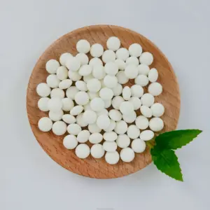 Bonbons à la menthe sans sucre vitamine C vente en gros 0.4 g/pc menthes