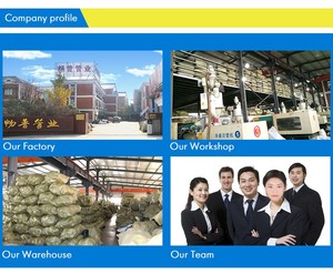 Giá thấp PE 100 ISO HDPE phụ kiện đường ống mông Fusion hàn loại HDPE giảm khớp nối PE <span class=keywords><strong>Reducer</strong></span> cho kết nối đường ống - Product Image 5