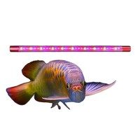 Aquarium de salon rectangulaire de luxe sur mesure pour bassin à poissons, en verre ultra-transparent, avec contrôle intelligent de la température 5W
