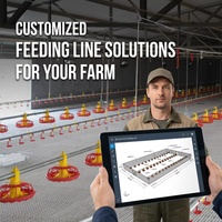 Équipement d'alimentation automatique pour poulets, système de mangeoire à plateau pour poulets de chair, ligne d'alimentation automatique pour volailles avec entraînement par vis sans fin, certifié CE ISO, OEM