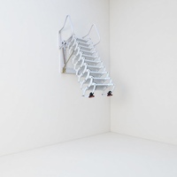 Échelle pliante murale OEM en aluminium pour rangement intérieur domestique