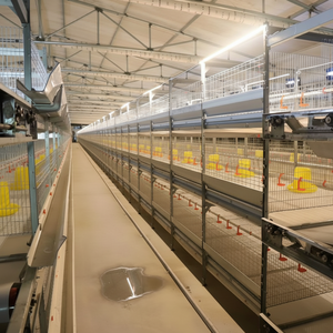 Nuevas Jaulas para Pollos Tipo H, Ligeras y de Rápido Montaje, para Uso Doméstico en Zonas Montañosas y Rurales, Portátiles, con 5 Años de Garantía - Product Image 1