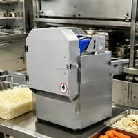Machine à hacher les légumes industrielle 120-350 kg/h 180W, haute efficacité, multifonctionnelle, pour restaurant