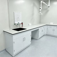 Banc de laboratoire en acier, armoire murale de laboratoire, plan de travail de rangement, mobilier thermolaqué pour laboratoire de recherche