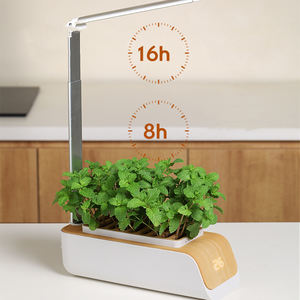 <span class=keywords><strong>Maceta</strong></span> hidropónica inteligente SQ152, <span class=keywords><strong>luz</strong></span> <span class=keywords><strong>LED</strong></span> para cultivo, <span class=keywords><strong>maceta</strong></span> para el hogar - Product Image 6