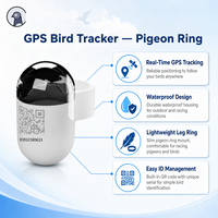 Traceur GPS pour pigeons USMILEPET, mini localisateur en temps réel, étanche, localisateur GPS pour oiseaux, autonomie de 30 jours, traceur d'oiseaux ultra léger
