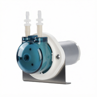 Pompe doseuse péristaltique micro-ajustable LEIRONG CP2, moteur 12V DC, basse pression, mini-pompe de transfert OEM pour laboratoire chimique