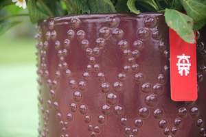 <span class=keywords><strong>Pot</strong></span> en terre cuite émaillée monobloc avec trou de drainage <span class=keywords><strong>pour</strong></span> bonsaï, vase à fleurs, usage intérieur/extérieur <span class=keywords><strong>pour</strong></span> la maison et le jardin - Product Image 3