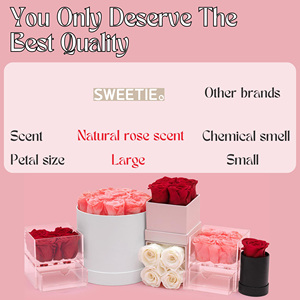 Usine en gros 12 pièces tête de Rosas fleur éternelle pour toujours rose éternelle avec boîte-cadeau préservée rose dans une boîte ronde - Product Image 5