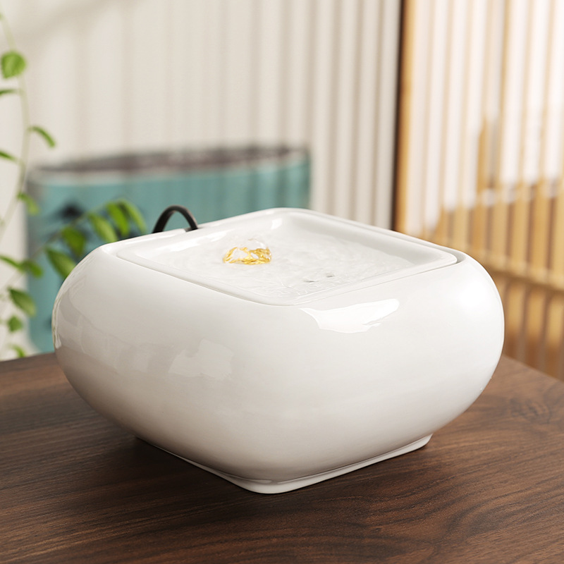 Jin Fu juega en el agua